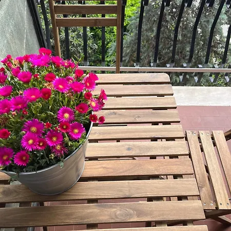 Bed & Breakfast Cosy 3*